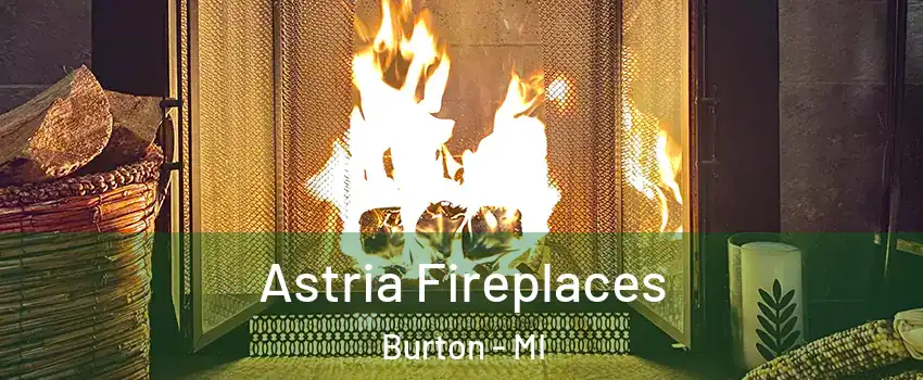  Astria Fireplaces Burton - MI