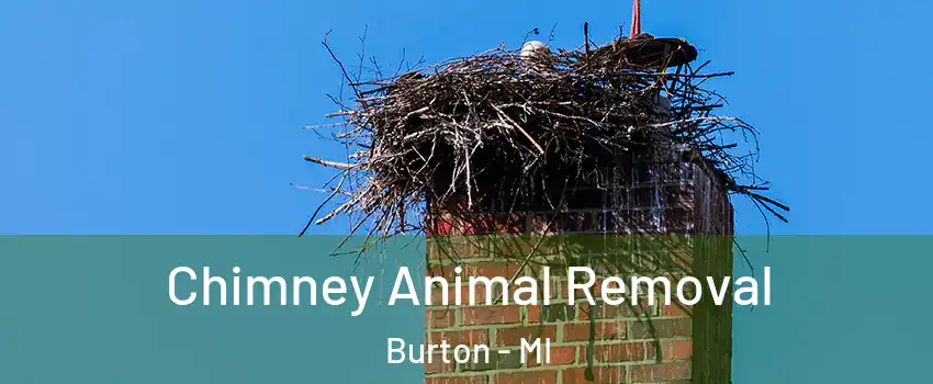  Chimney Animal Removal Burton - MI