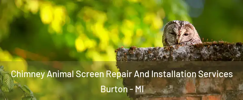  Chimney Animal Screen Repair And Installation Services Burton - MI