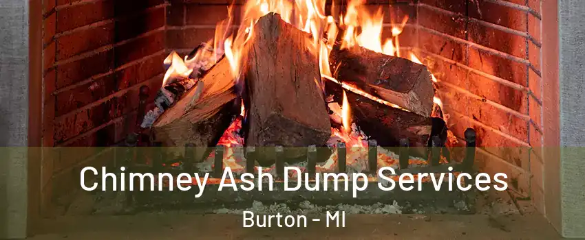  Chimney Ash Dump Services Burton - MI