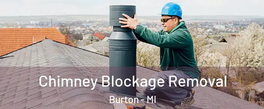  Chimney Blockage Removal Burton - MI