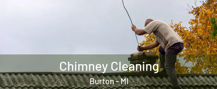  Chimney Cleaning Burton - MI