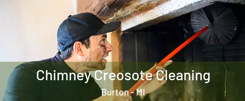  Chimney Creosote Cleaning Burton - MI