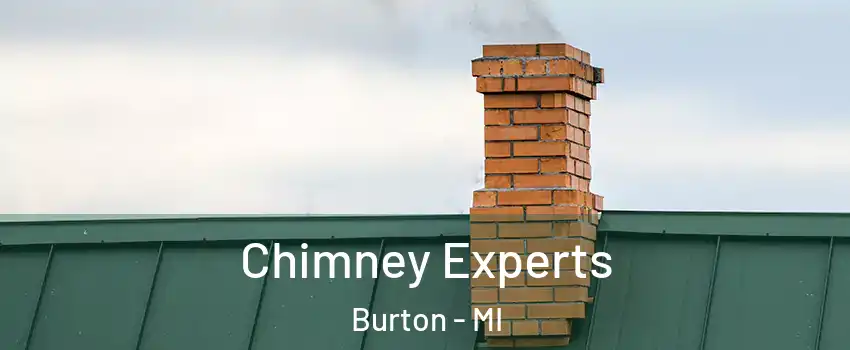  Chimney Experts Burton - MI