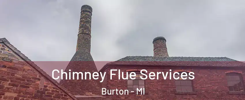  Chimney Flue Services Burton - MI