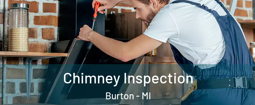  Chimney Inspection Burton - MI