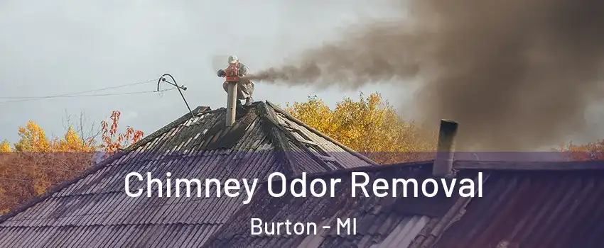  Chimney Odor Removal Burton - MI