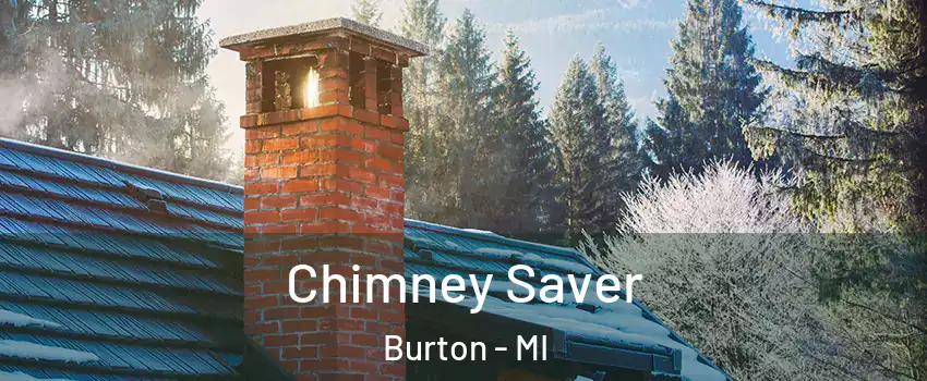  Chimney Saver Burton - MI