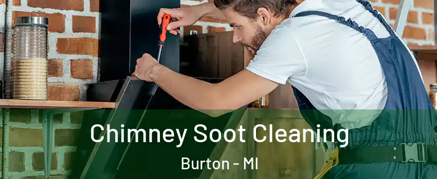  Chimney Soot Cleaning Burton - MI