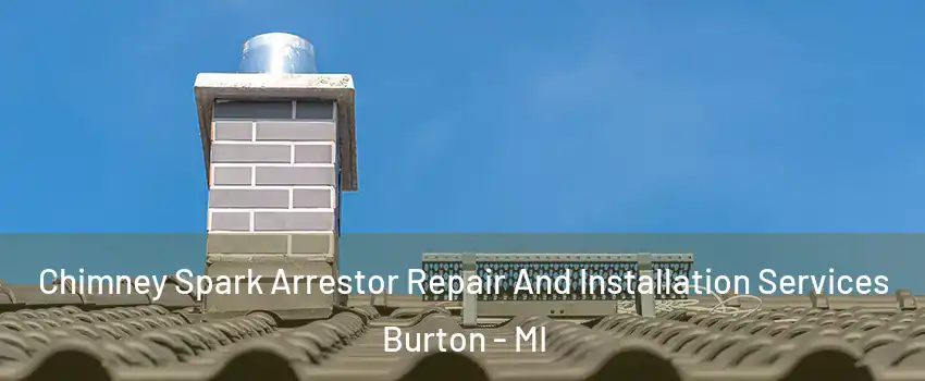  Chimney Spark Arrestor Repair And Installation Services Burton - MI