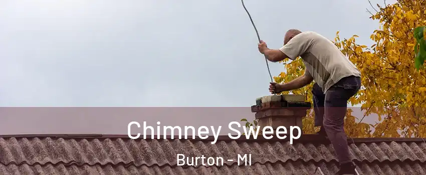  Chimney Sweep Burton - MI