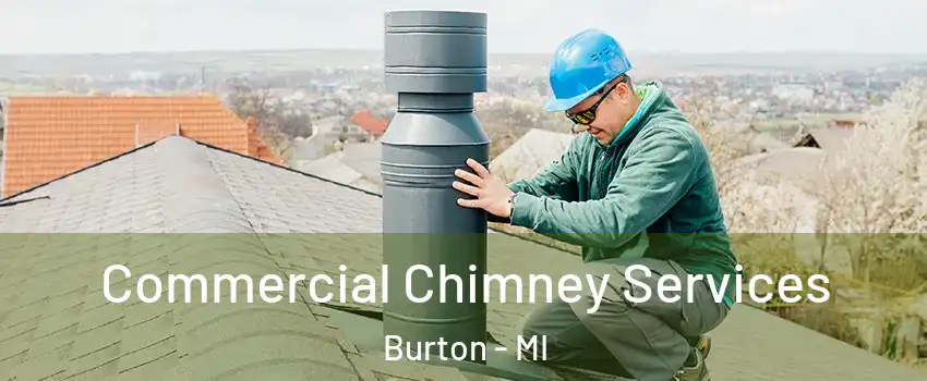  Commercial Chimney Services Burton - MI