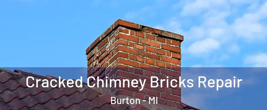  Cracked Chimney Bricks Repair Burton - MI