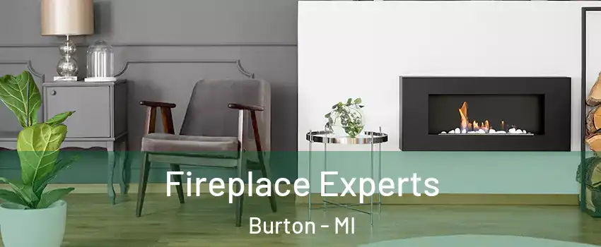  Fireplace Experts Burton - MI