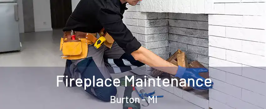  Fireplace Maintenance Burton - MI