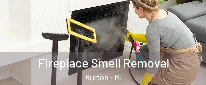  Fireplace Smell Removal Burton - MI