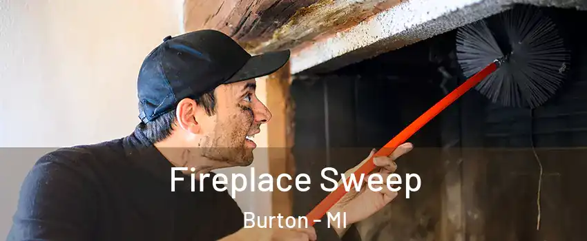  Fireplace Sweep Burton - MI