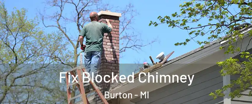  Fix Blocked Chimney Burton - MI