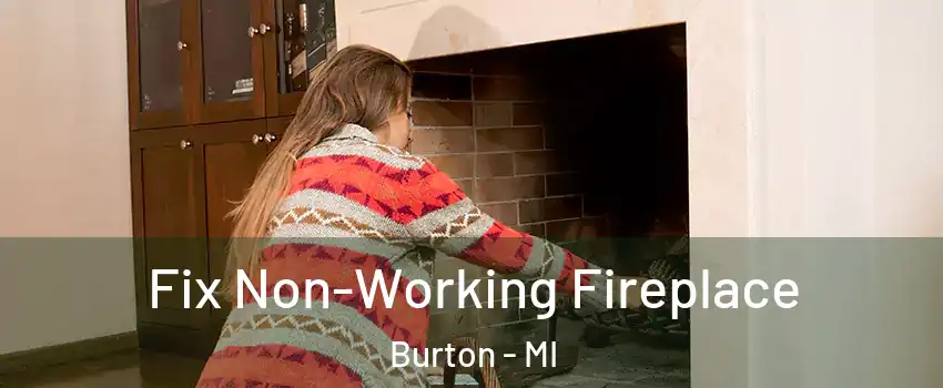  Fix Non-Working Fireplace Burton - MI