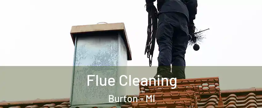  Flue Cleaning Burton - MI