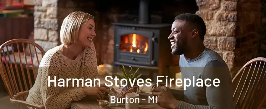  Harman Stoves Fireplace Burton - MI