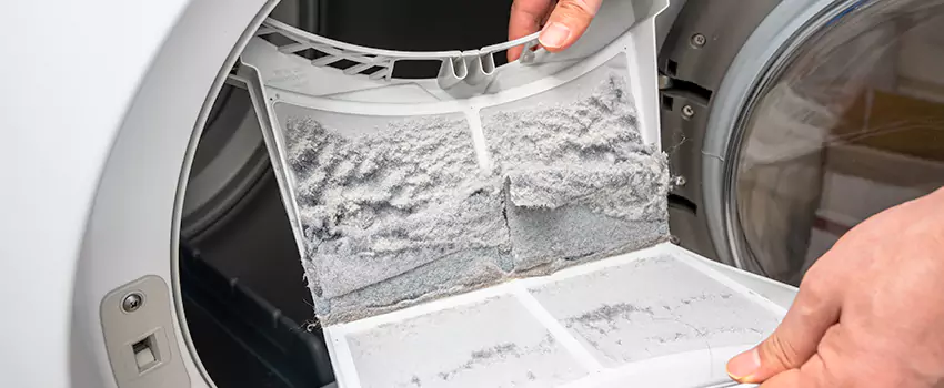 Best Dryer Lint Removal Company in Burton, Michigan