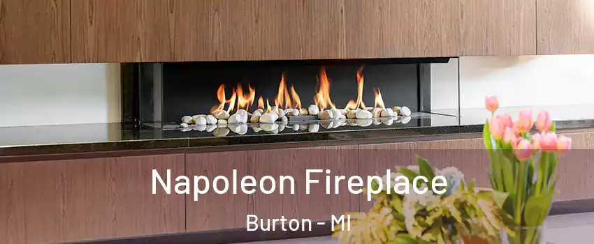  Napoleon Fireplace Burton - MI