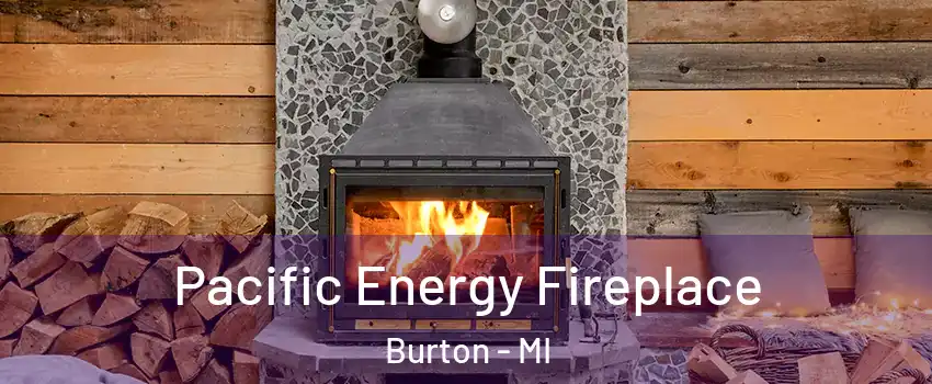  Pacific Energy Fireplace Burton - MI