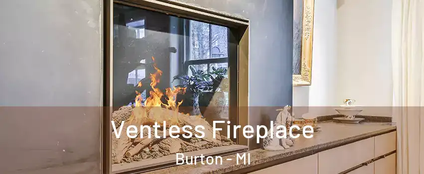  Ventless Fireplace Burton - MI